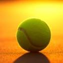 Palla da tennis
