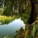 Sile