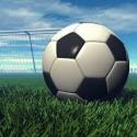 pallone in rete