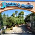 Ingresso del Parco