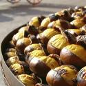 castagne