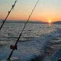 Canne di pesca sul mare