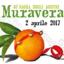 locandina della manifestazione