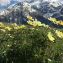 montagne