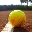 Palla tennis