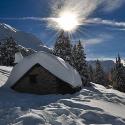 aprica