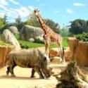 parco zoom