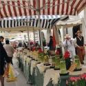 festa dell'asparago