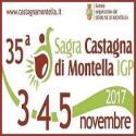 logo sagra