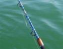 Canna da pesca