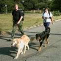 dog trekking
