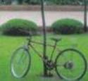 Tour de France
