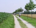 in bicicletta