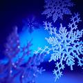 NEVE