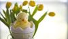 uovo di pasqua