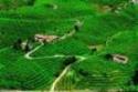 strada del prosecco