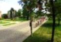 Sezione Ciclismo Bassano