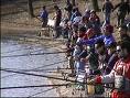 pesca
