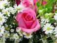 Festa dei fiori
