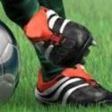 Pallone di calcio