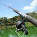 pesca