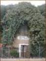 Betilli
