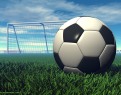 pallone