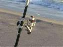 pesca