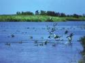 ente parco