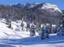 FOLGARIA