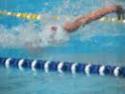 Giornata del nuoto
