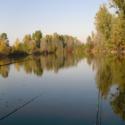 lago