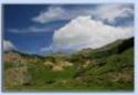 monte
