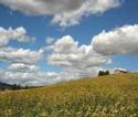 paesaggio