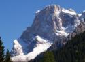 PALE SAN MARTINO