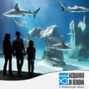 acquario di Genova