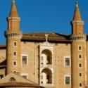urbino