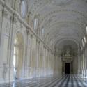 Venaria