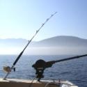 canne da pesca
