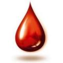 donatori sangue