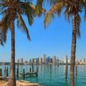 Downtown Miami Skyline