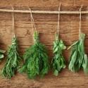 Erbe officinali