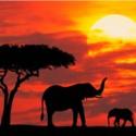 Kenya