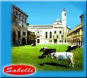Logo della ditta Sabelli.