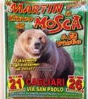 Circo