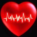 Cuore