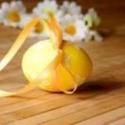 Pasqua uovo decoro