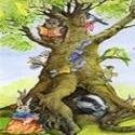 Il vecchio albero