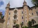 Urbino