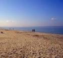 Oristano